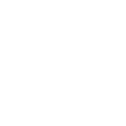software (1)